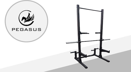 Pegasus HR-G1 Half Rack χωρίς Βάρη