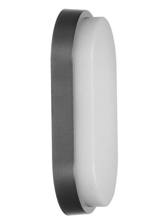 Orno Επιτοίχια Εξωτερική Πλαφονιέρα LED IP54 15W με Φυσικό Λευκό Φως 21.22x44εκ.