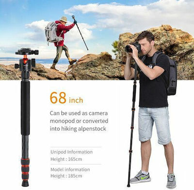 K&F Concept SA254C1 Photography Tripod