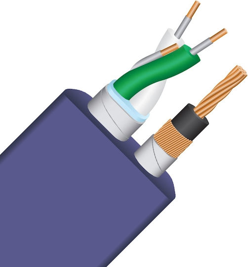 Wireworld USB 2.0 Cablu USB-A - USB-B Violet 2m