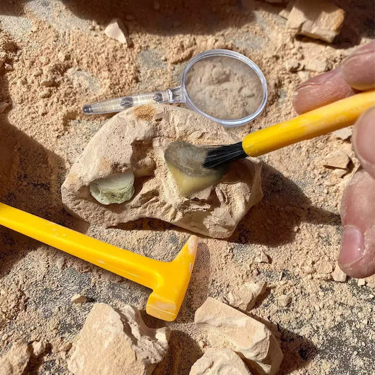 Educational Insights Κιτ Ανασκαφής Απολιθωμάτων STEM Joc Educațional Excavare de dinozauri pentru 3+ ani Ani