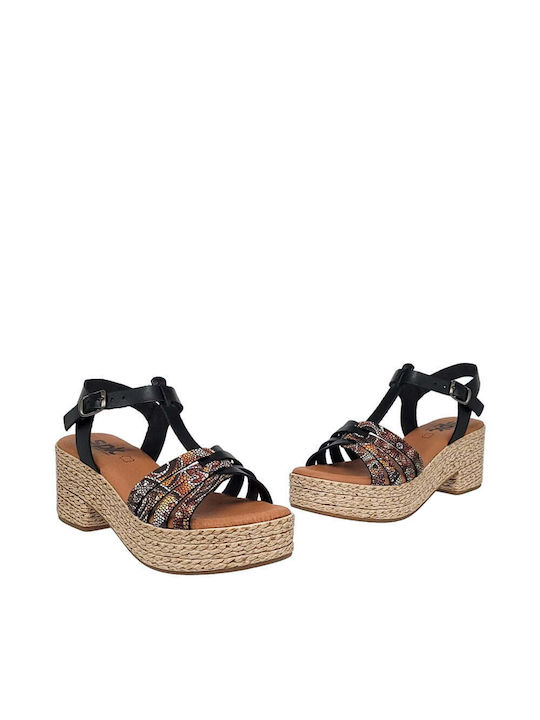 SPK Shoes