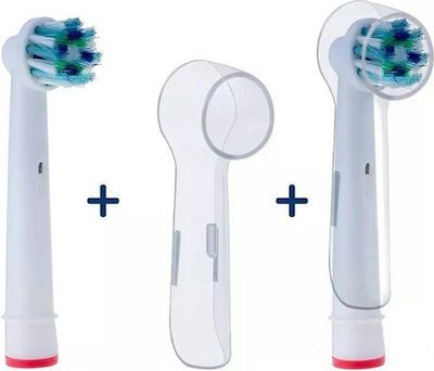 Aria Trade Toothbrush Support Base Plastic Transparent