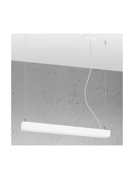 Sollux PINNE 67 Pendant Light LED Rail White