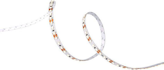 Geyer Waterproof LED Strip 12V Blue Light 5m Type SMD2835