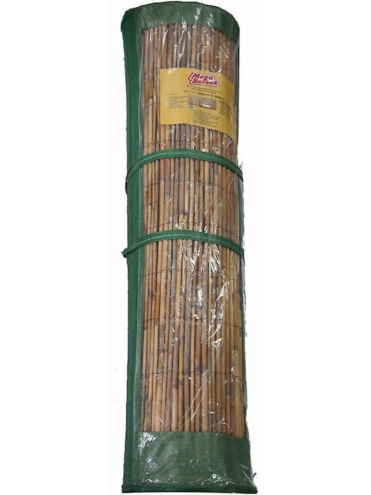 Bamboo Fencing with Whole Reed 1.5x3m