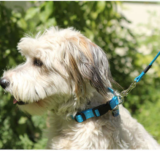 Rogz Dog Leash/Lead Strap Utility in Black color 1.4m x 1.6cm