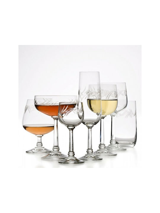 Set of Glasses Champagne made of Crystal Stemmed 200ml 6pcs