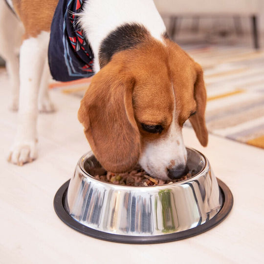 Relaxdays Stainless Steel Bowl Food & Water for Dog & Cat 500ml 30cm in Silver Color 2pcs