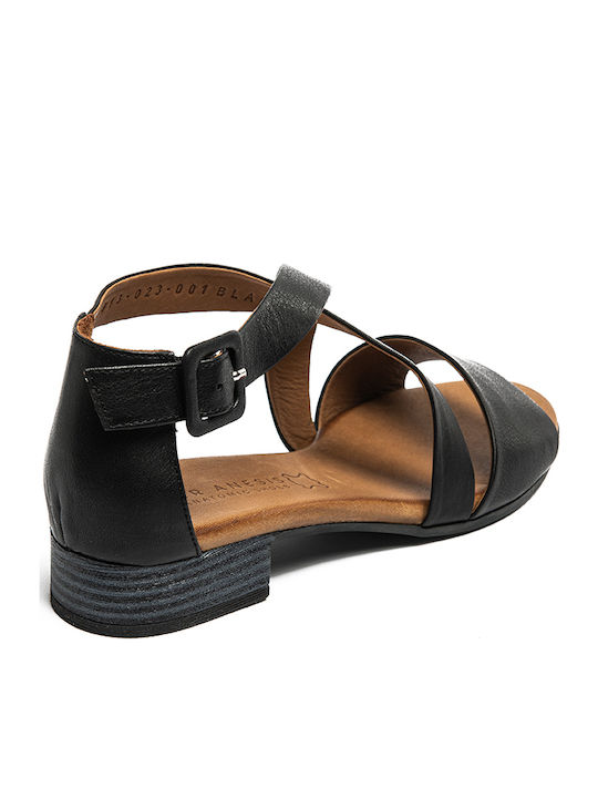 Air Anesis