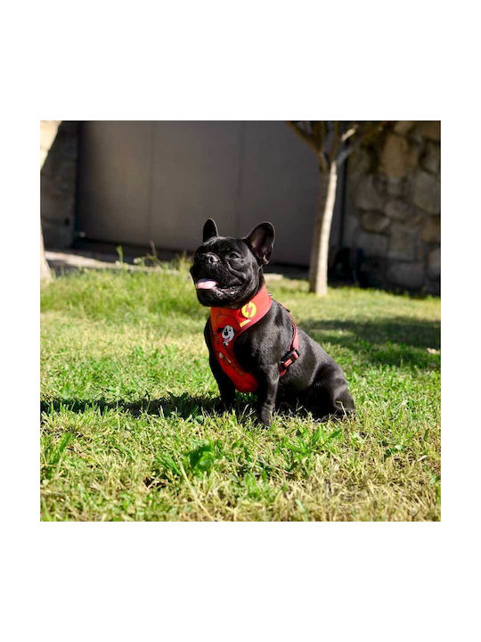 Dashi Dog Harness Yellow Small 38-50cm DNM00122