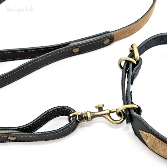 Younique Lab Dog Leash/Lead Leather SMALL in Black color 3cm