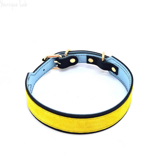 Younique Lab Dog Leash/Lead Leather SMALL in Blue color 3cm