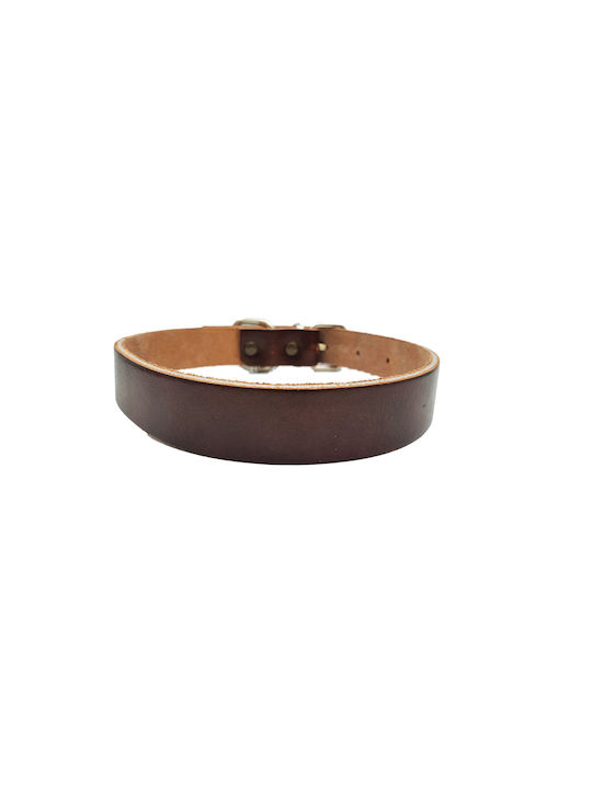 ByLeather Κολάρο Σκύλου Δερμάτινο σε Καφέ χρώμα Small 60cm