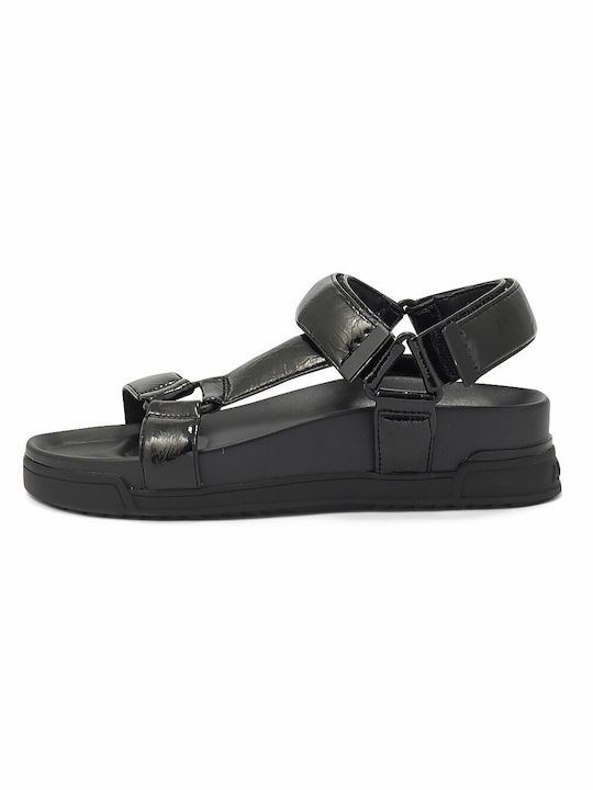 Aldo