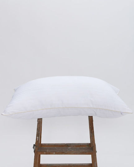 Pennie Feathered Bed Pillow 50x70cm