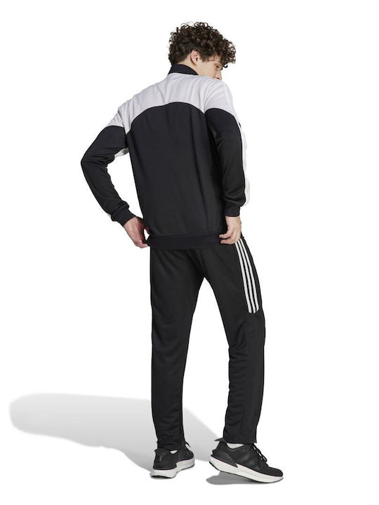 Adidas Colorblock Herren-Sweatpants-Set Weiß