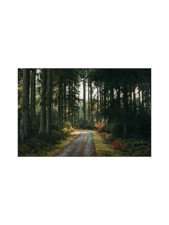 A Dirt Road in the Middle of a Forest Painting on Canvas 30x20cm