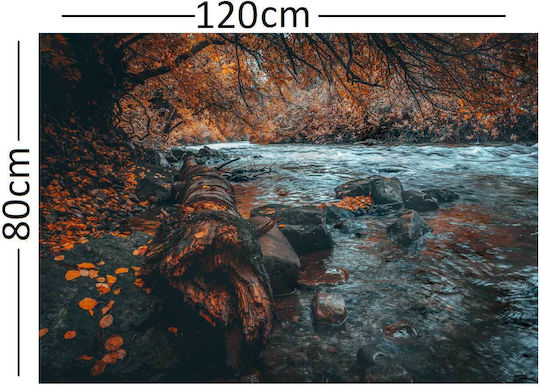 Картина Платнен 120x80см
