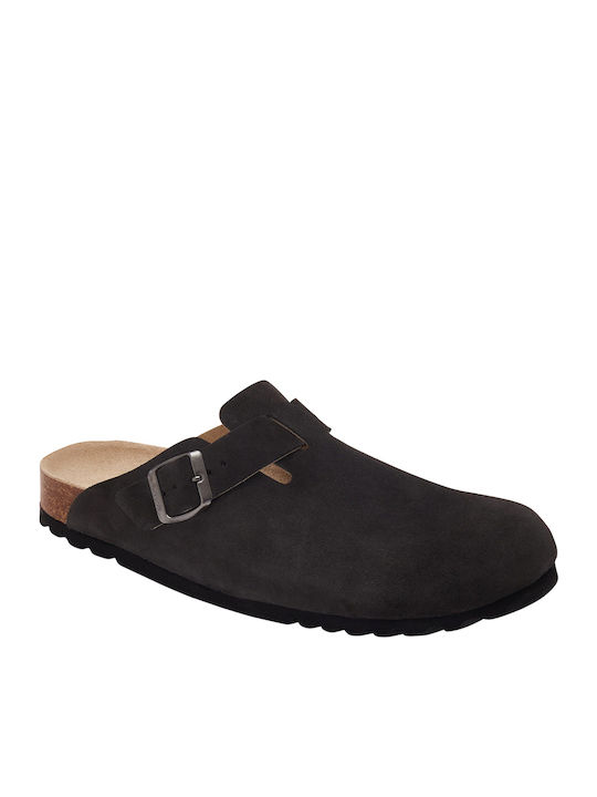 Scholl