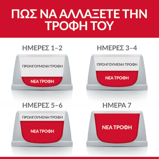 Hill's Science Plan Adult Mini 6кг Суха Храна без Глутен за Възрастни Кучета от Малки Породи с Пилешко и Ориз