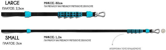 Zee-Dog Dog Leash/Lead Strap in Orange color