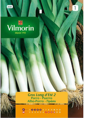 Vilmorin Seeds Leek 0.5gr