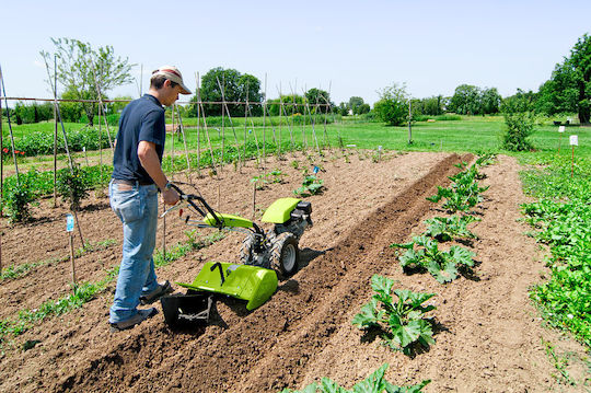Grillo G55 Four-stroke Cultivator Gasoline 5.5hp/196cc with Engine Honda