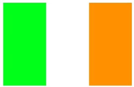 Flagge von Irland 100x70cm