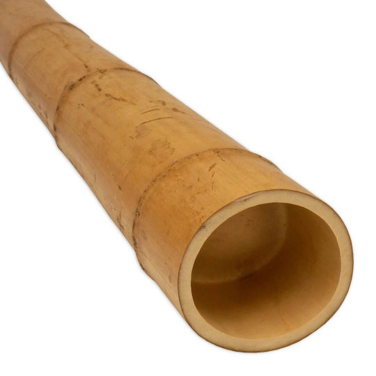 Showood Καλάμι για Περίφραξη Κήπου από Μπαμπού 300x10x10εκ.