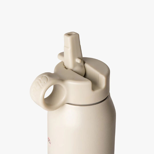 Citron Kids Water Bottle Thermos Stainless Steel with Straw Non Spill Gray 350ml