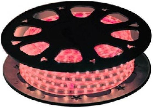 Christmas Light Tube Red 220V 1500 Light Bulbs 50m IP65