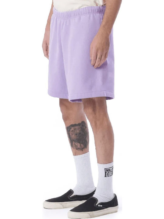 Established Works Eyes Sportliche Herrenshorts Lila
