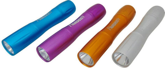 Taschenlampe mit maximaler Helligkeit 20lm Set 12Stk 12pcs 12Stück