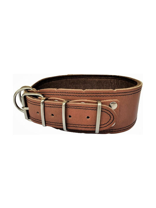 ByLeather Hundehalsband Leder in Braun Farbe Klein 70cm