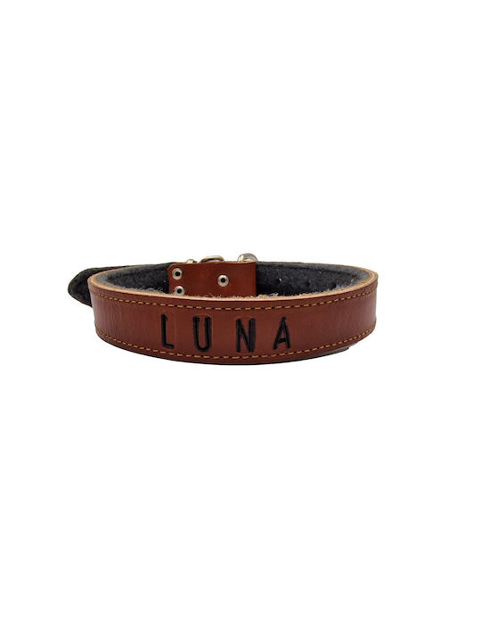 ByLeather Κολάρο Δερμάτινο σε Καφέ χρώμα Small 55cm ByLeather Κολάρο Δερμάτινο σε Καφέ χρώμα Small 55cm