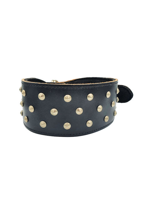 ByLeather Κολάρο Δερμάτινο σε Μαύρο χρώμα Small 60cm ByLeather Κολάρο Δερμάτινο σε Μαύρο χρώμα Small 60cm