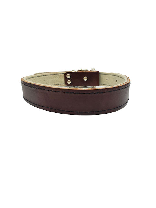 ByLeather Κολάρο Δερμάτινο σε Καφέ χρώμα Small 55cm ByLeather Κολάρο Δερμάτινο σε Καφέ χρώμα Small 55cm