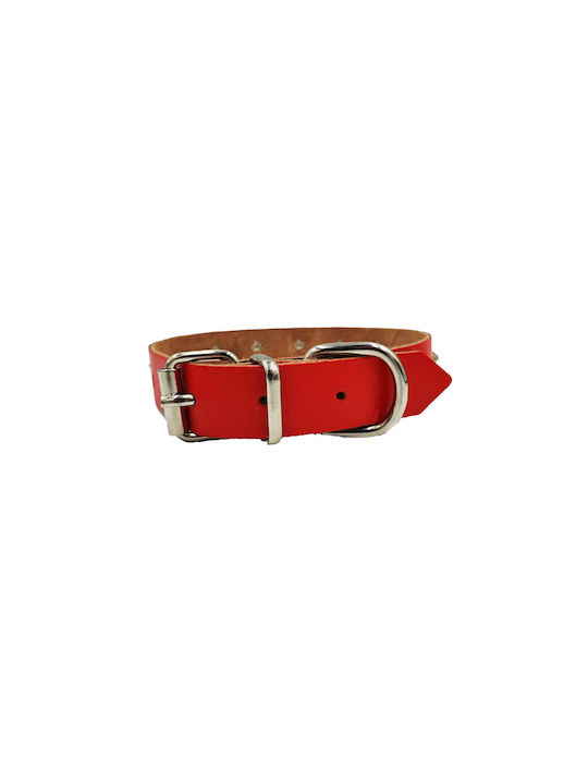 ByLeather Κολάρο Δερμάτινο σε Κόκκινο χρώμα Small 45cm ByLeather Κολάρο Δερμάτινο σε Κόκκινο χρώμα Small 45cm