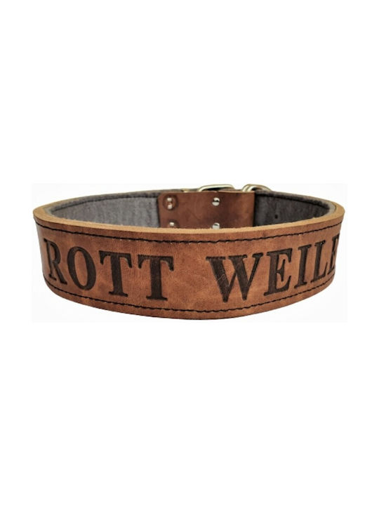 ByLeather Hundehalsband Leder in Braun Farbe Klein 70cm