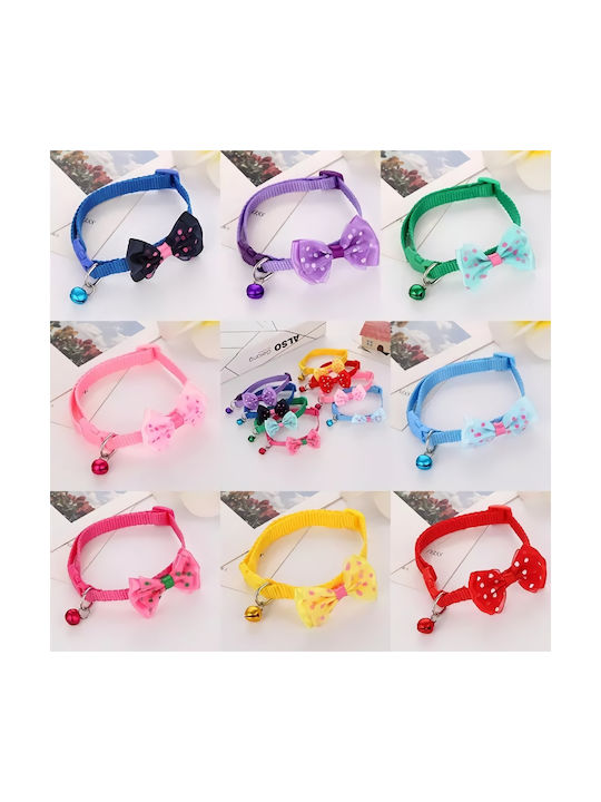 Hundehalsband in Lila Farbe 10mm
