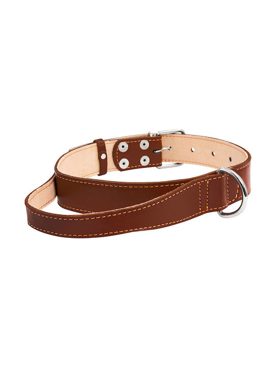 Collar Dog Collar Brown