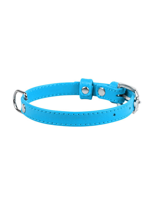 Collar Dog Collar Blue