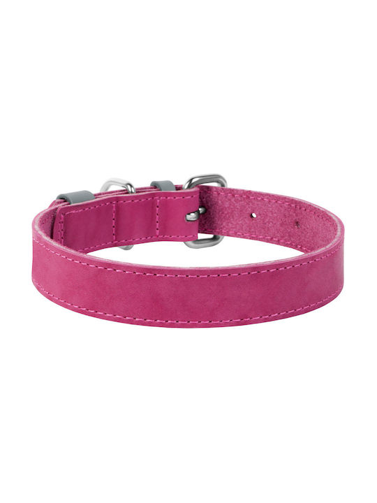 Collar Dog Collar Pink