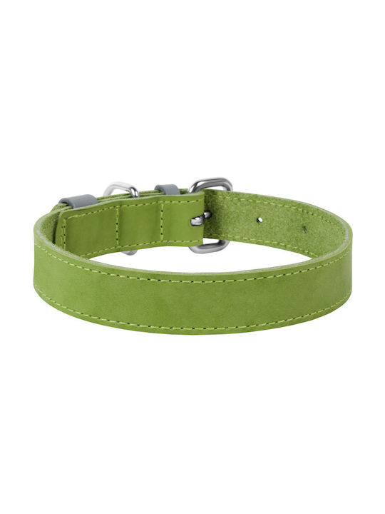 Collar Dog Collar 15mm Green