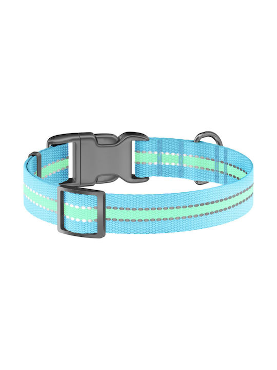 Collar Dog Collar Illuminated 35cm Blue