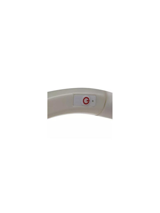 Purlov Guler pentru câini din în culoarea Galben 12mm x 70cm