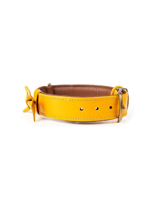 DWAM Dog Collar in Yellow color 24-039