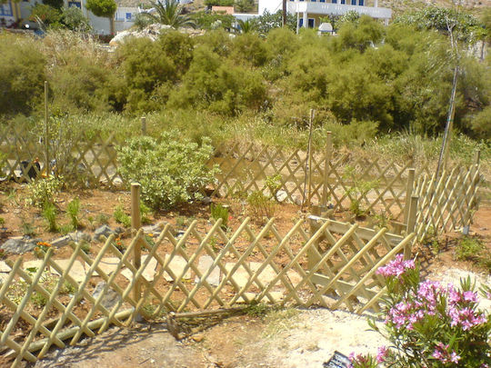 Showood Ξύλινη Πόρτα Φράχτη σε Μπεζ Χρώμα 80cm x 1m