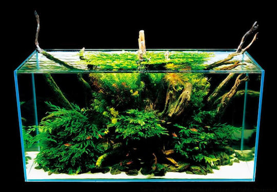 HS Aqua SPIDER WOOD Декоративен за Аквариум